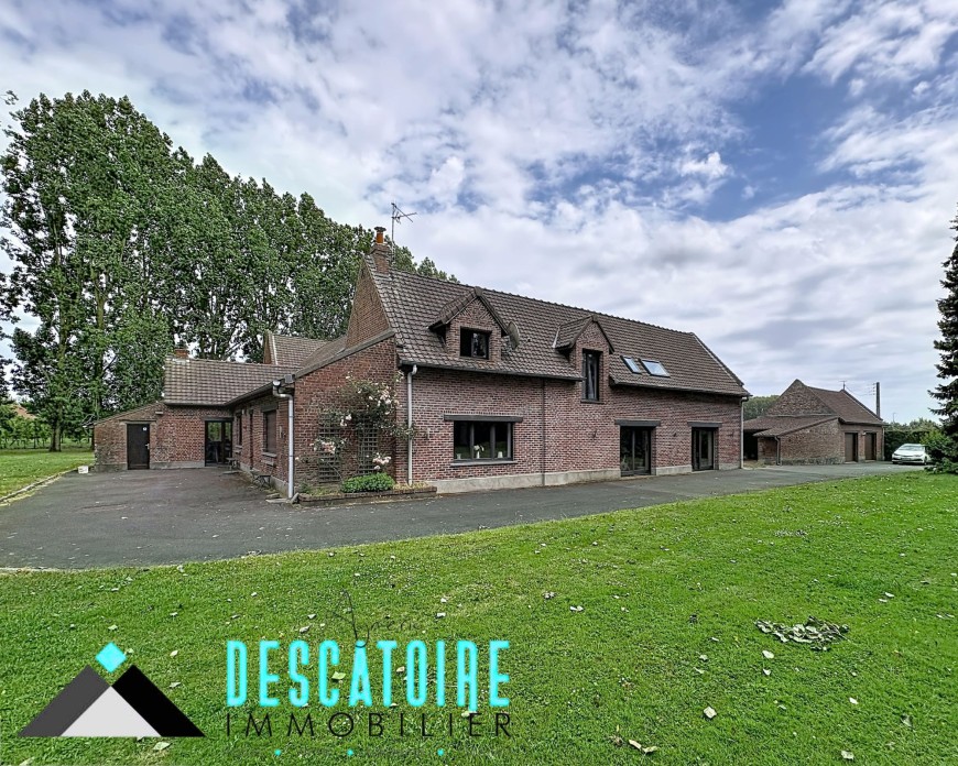 nieppe