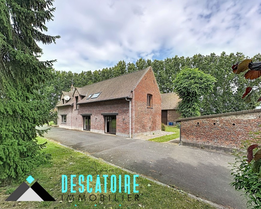 nieppe