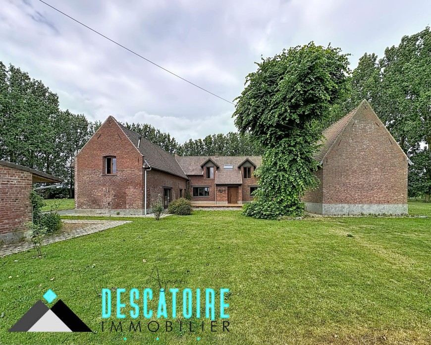 nieppe